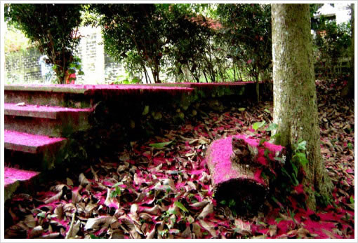 Baja Del R�o En Las Villas Ecotur�sticas de Misantla Veracruz